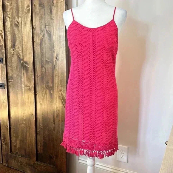 Lilly Pulitzer Pink Lace Dress - Picture 6 of 9